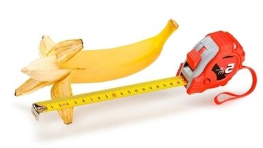 Normal penis size is from 13 to 17 cm